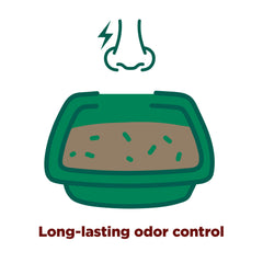 Pouring Arm & Hammer Forever Fresh Cedarwood litter into a litter box.