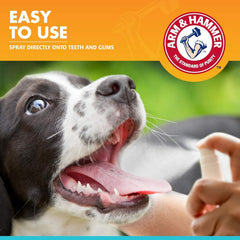 Application tips for Arm and Hammer spray on dogs' teeth and gums