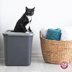 Arm & Hammer Top Entry Litter Box, recycled materials, eco-friendly pet solution.
