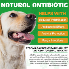 ARMOYA dog antibiotics dropper—precise dosing for daily administration.