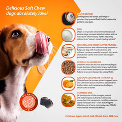 ArthriMAXX astaxanthin from AstaREAL signals anti-inflammatory potential for active dogs.