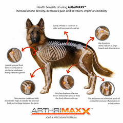 ArthriMAXX chews close-up highlighting liver flavor and palatability for dogs.