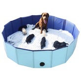 Artilife Whelping Box dog pool blue offers safe space for whelping