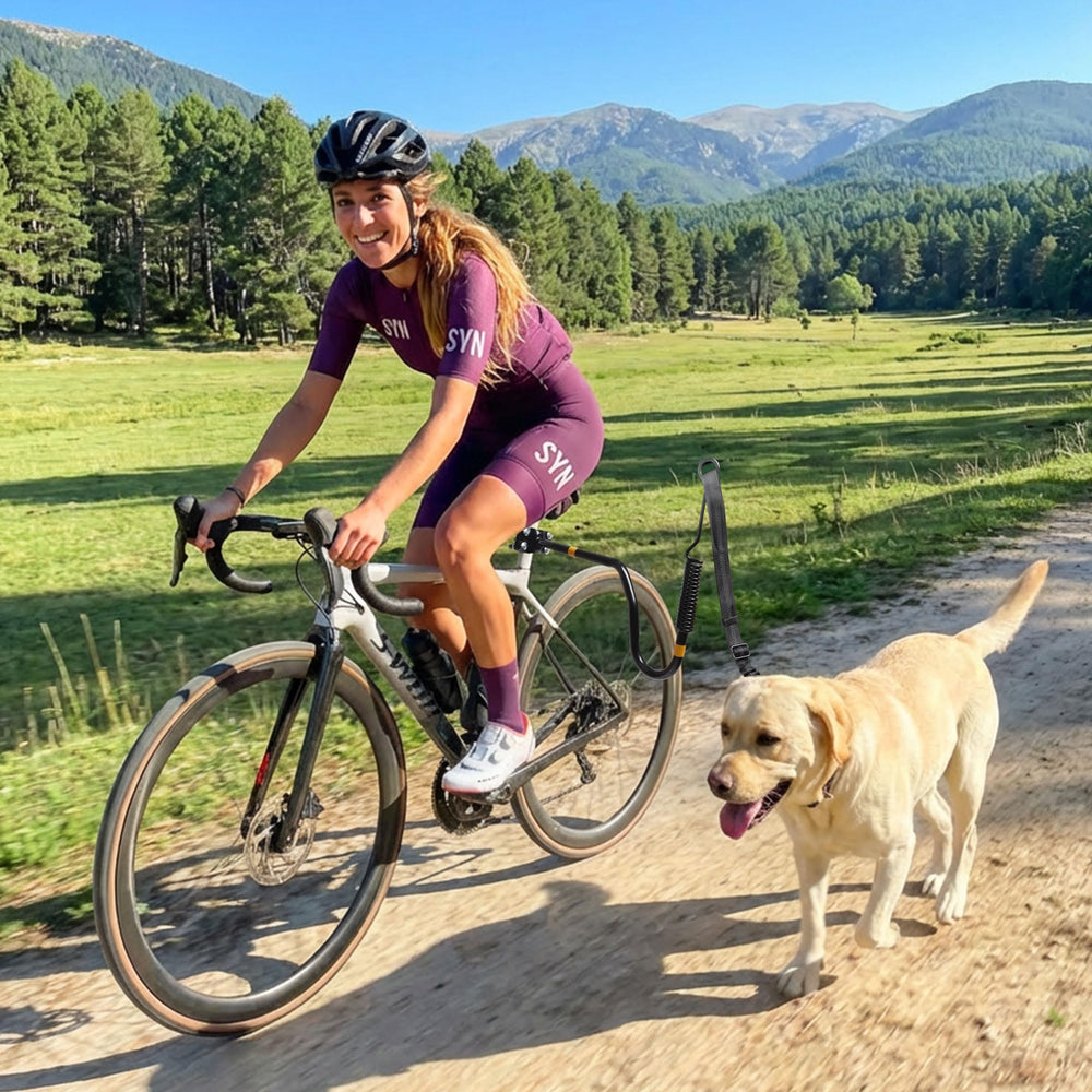 Artpet dog bike attachment enables hands-free riding for safer cycling.