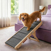 Artpet dog ramp with adjustable height improves couch access for small dogs.