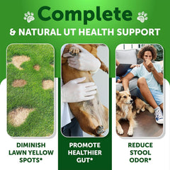 Artullano Grass Burn Spot Chews dog enjoying a duck-flavored chew for urinary balance