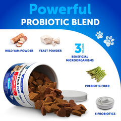 Artullano probiotics support skin comfort and immune balance in dogs.