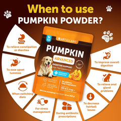 Artullano pumpkin powder poured over food for easy serving