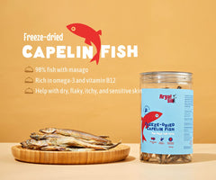Training moment with Arya Sit! capelin treats as a tasty incentive.