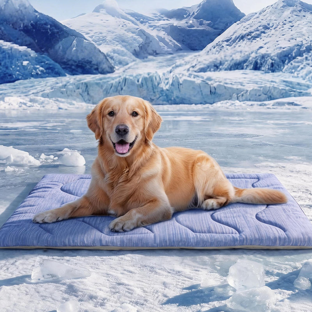 ASENKU dog cooling mat blue wave folded compact for travel