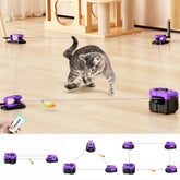 AsFrost purple interactive cat toy ready for indoor play and exploration.
