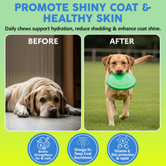 Asher House Wellness chew serving eases itchy skin for dogs