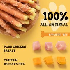 ASMPET chicken-wrapped pumpkin biscuit highlighting a shiny coat and healthy-looking fur.