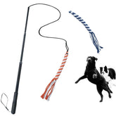 ASOCEA extendable teaser wand in action for interactive outdoor play.