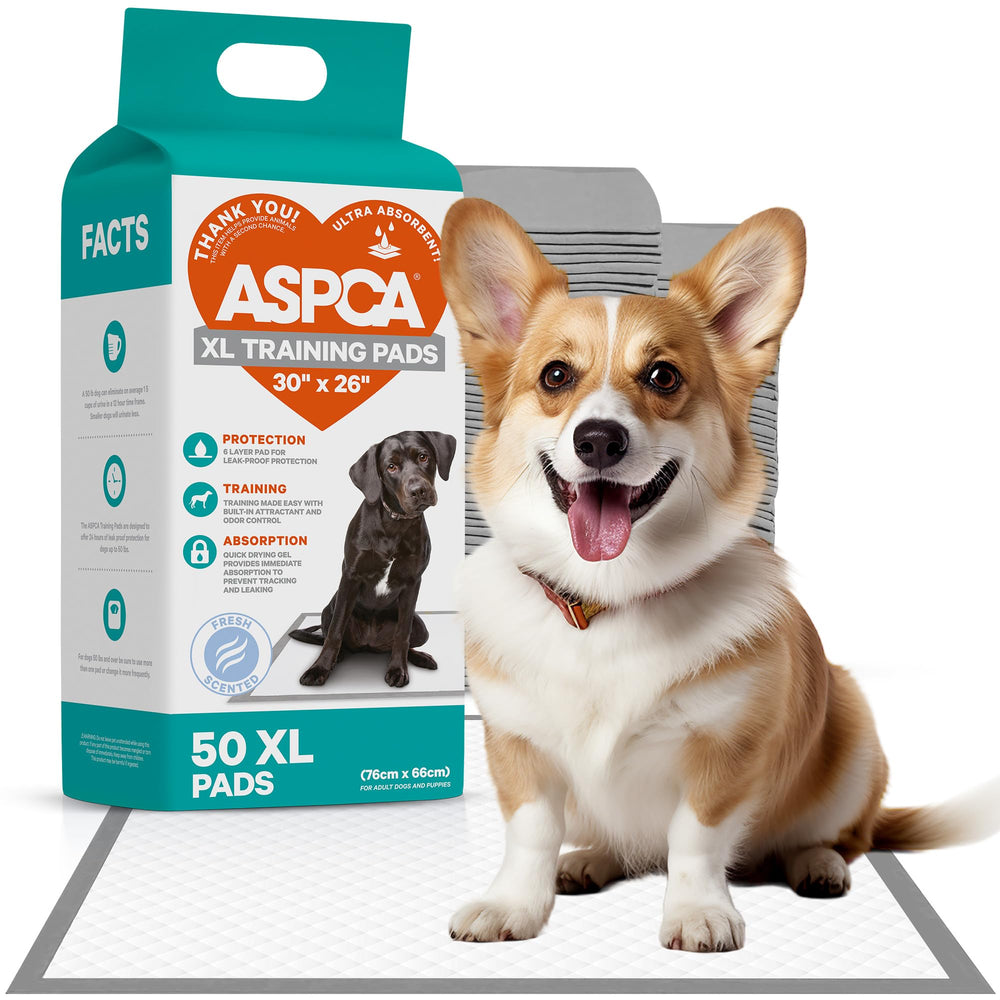 ASPCA Scented Puppy Pad with quick-drying 6-layer design locks moisture