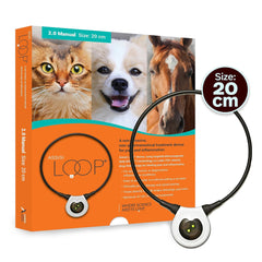 Assisi Loop 20cm device on cat during session supports comfort.