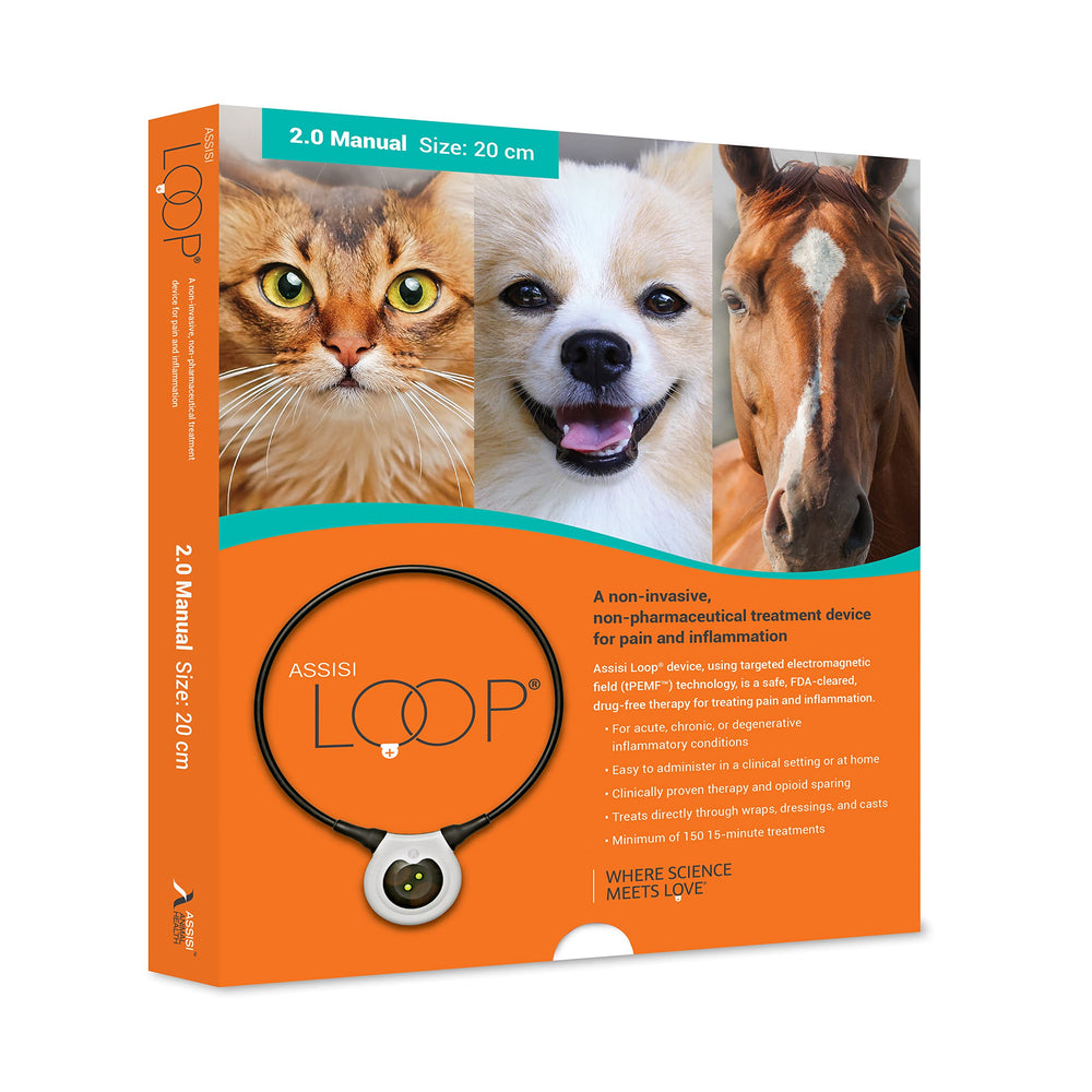 Assisi Loop 20cm device on dog during session improves comfort.