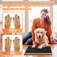 Astfys anti-slip frosted sticker helps dogs walk on slick floors.