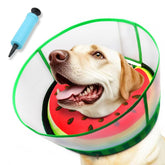 AThooDel inflatable dog cone collar in Watermelon color on a medium dog, protecting wounds and aiding healing.