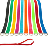 ATICNECH slip lead 6ft color pack shown, ready for walks, training, and quick rescues.