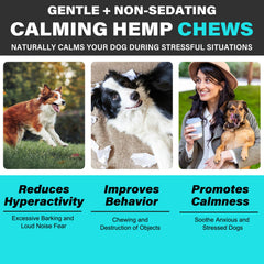 ATOANY Chews in dog's mouth, calming nerves during storms.