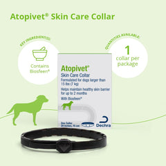 Atopivet Skin Care Collar on a cat over 22 lbs.