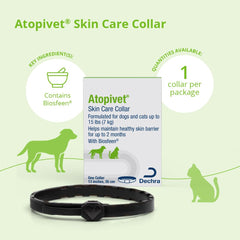 Atopivet Skin Care Collar in small 13-inch size shown during swimming