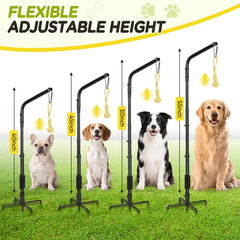 AugFir tether rack adjustable height accommodates different dog sizes.