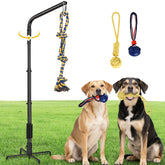AugFir tether outdoor dog rope toy enables solo play to burn energy outdoors.
