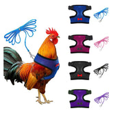 Aulock pink chicken harness for stylish outdoor walks with small pets