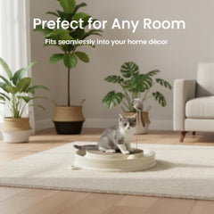 AUOON plush-mouse-toy invites swats, bounces, and engaging prey play.