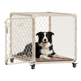 Aurapaws 36-inch crate front view for safe containment.