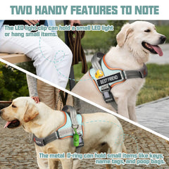 AUROTH reflective safety harness increases visibility during nighttime walks