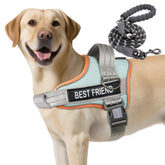 AUROTH harness soft padded no-pull design for comfortable walks