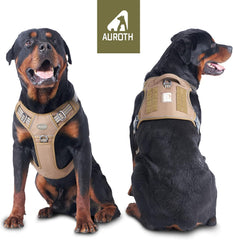 AUROTH back clip close-up highlights secure leash options for walks.