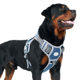 AUROTH Tactical Dog Harness with easy-adjust-buckles offers quick on-off comfort during walks.