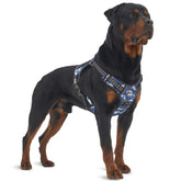AUROTH Tactical Harness front clip no-pull for training and control.
