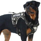 AUROTH Tactical Dog Harness front clip for precise control during walks.