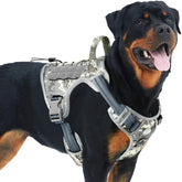 AUROTH Tactical dog harness front clip for no pull training