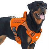 AUROTH Tactical Dog Harness front view with no-pull control for safer walks