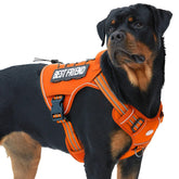 AUROTH tactical dog harness front no-pull clip for training control.