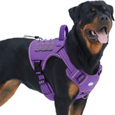 AUROTH Tactical Harness for large dogs, front-clip view with secure fit and mobility.