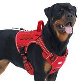 AUROTH tactical dog harness no-pull front clip for steady walks.