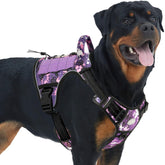 AUROTH Tactical dog harness no-pull front clip for controlled, comfortable walks.