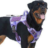 AUROTH Tactical Harness front view with no-pull control for training