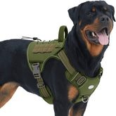 AUROTH Tactical Dog Harness with quick-release buckles for easy on/off during active play