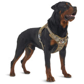 AUROTH Tactical dog harness showing quick-release buckles for easy on/off during walks
