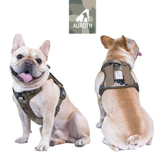 AUROTH tactical harness side MOLLE panels enable lightweight gear for outdoor adventures.
