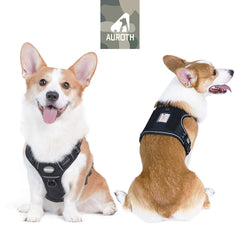 AUROTH Tactical Harness back-clip for relaxed walks and daily wear.