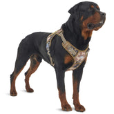 AUROTH tactical harness desert camo buckles; quick on/off for secure daily wear.